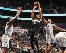 重磅！密尔沃基雄鹿篮板制胜备战NBA季后赛赛前密尔沃基雄鹿调整名单以备意大利杯，风云突变广厦男篮今夜迎来里程碑